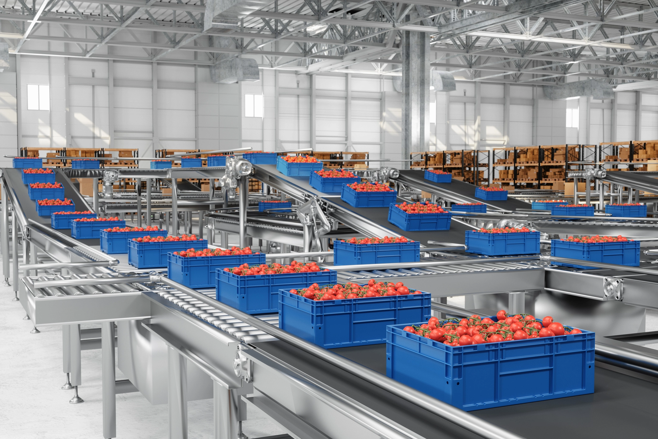Plastic crates of tomatoes moving along stainless steel conveyor lines in a food distribution facility with durable, cleanable coated surfaces